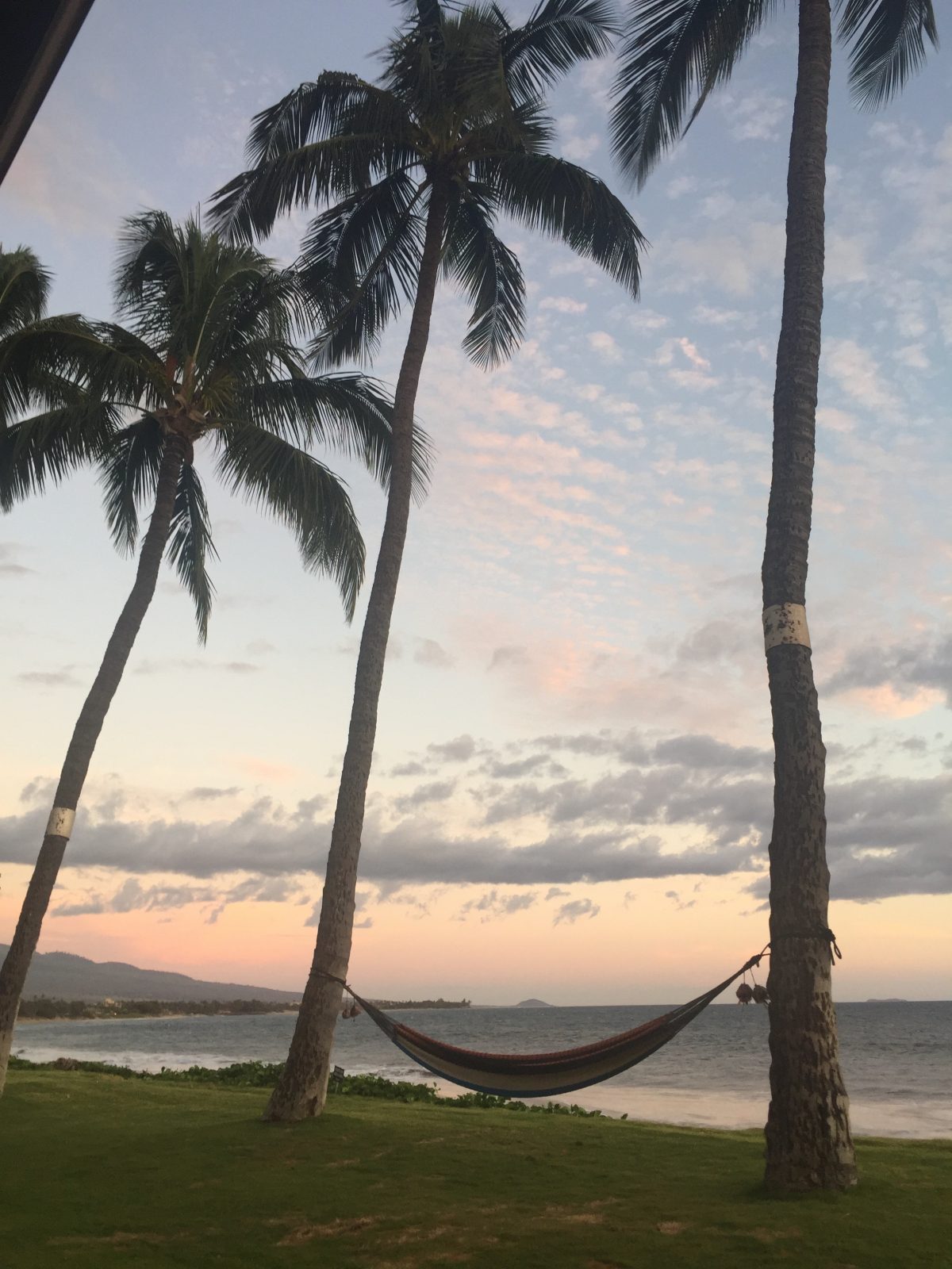 2 Ingredient DIY All Natural In Shower Moisturizer